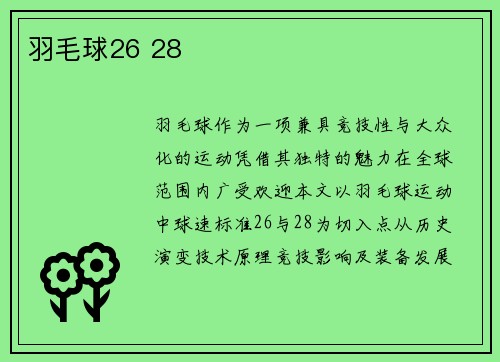 羽毛球26 28